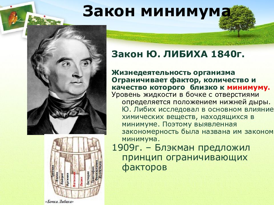 Закон минимальной. Закон минимума ю. Либиха. Закон Либиха экология. Минимума (ю.Либиха. Закон лимитирующего фактора Либиха.