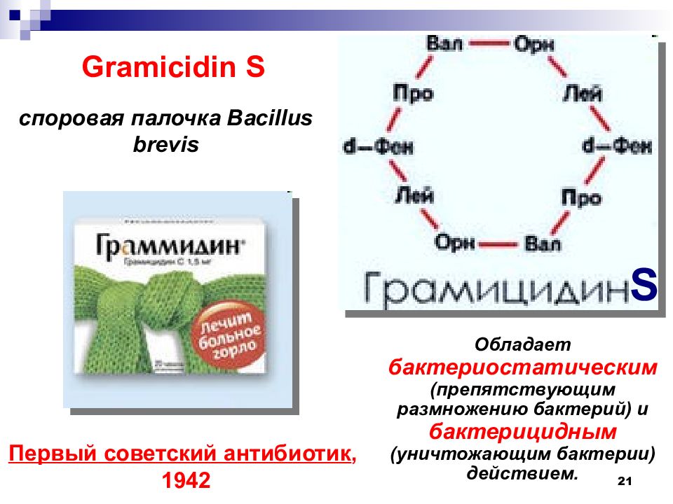 Презентация о аминокислотах