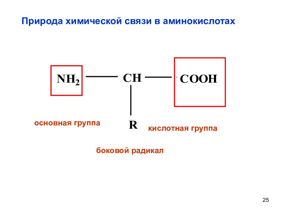 Связи в аминокислотах. Химические связи аминокислот. Аминокислоты химия связи. Химическиесвязь в аминах.