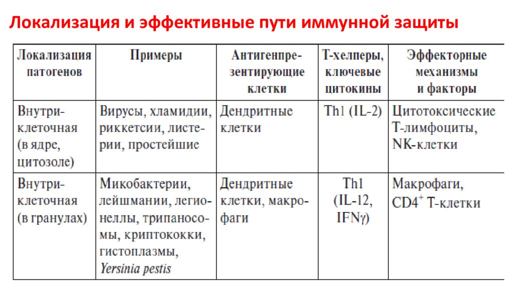 Основные механизмы защиты организма от инфекции. Механизмы иммунной защиты в зависимости от локализации антигена.. Тип иммунного ответа в зависимости от локализации патогена. Факторы иммунного ответа. Локализация патогенов и эффективные пути иммунной защиты.