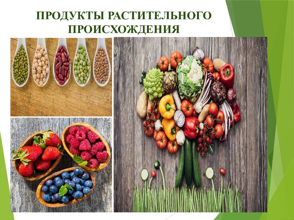 Продукт растение. Пища растительного происхождения. Продукция растительного происхождения. Растительное происхождение продуктов. Растения пища.