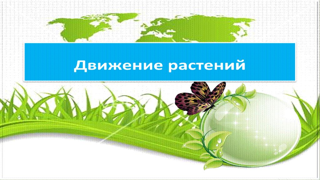 движение в живой природе