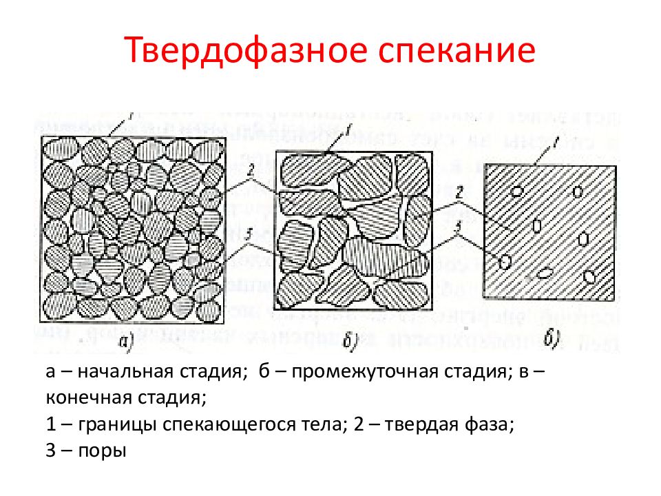 Кожи на лицевую сторону которых нанесен прессованием рисунок имитирующий мерею 8 букв