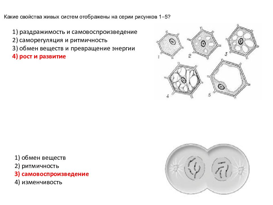 Какое свойство живых организмов изображено на рисунке огэ по биологии