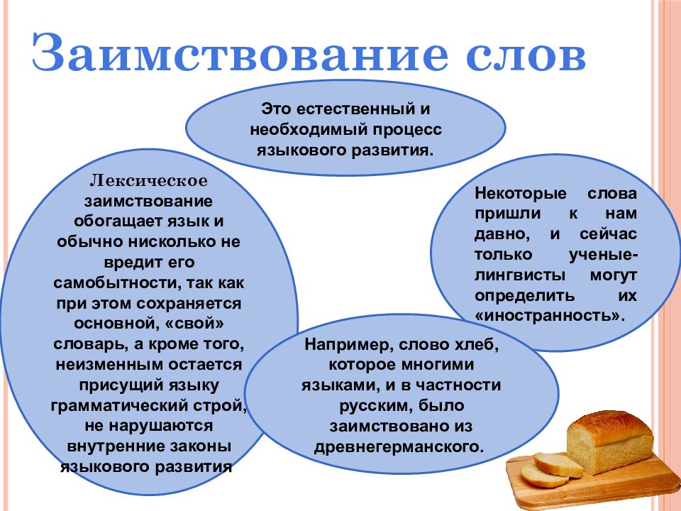 Проект иноязычные слова презентация