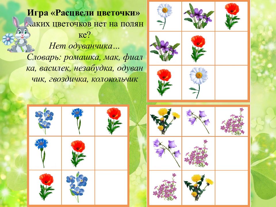 Презентация по лексической теме цветы