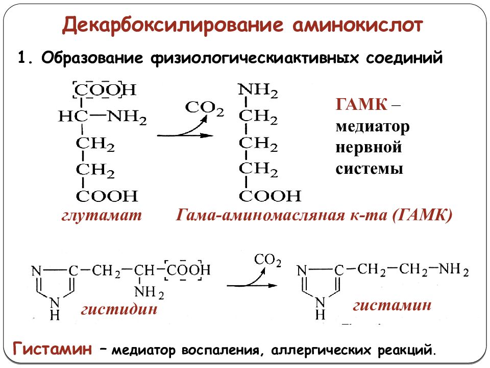 Декарбоксилирование аминокислот презентация