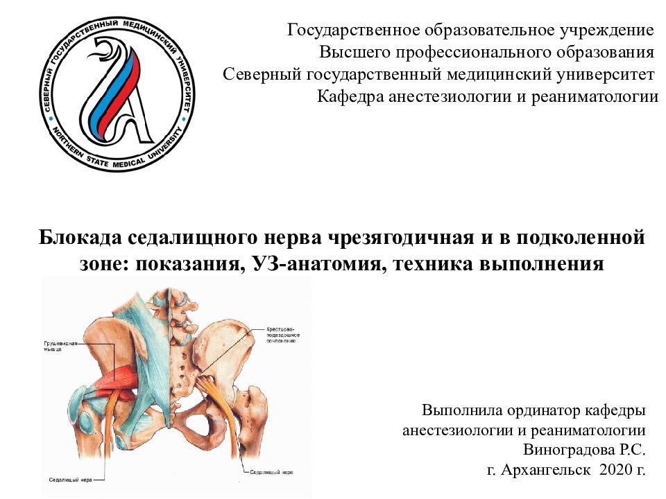 Блокада седалищного нерва чрезягодичная и в подколенной зоне: показания,