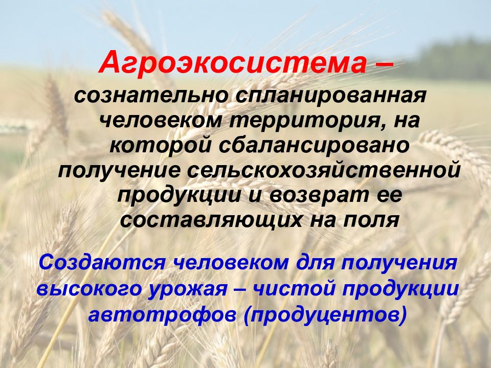 Презентация агроценозы применение экологических знаний в практической деятельности человека