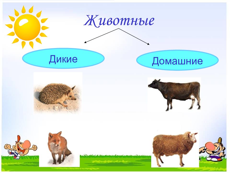 Дикие животные презентация 1 класс