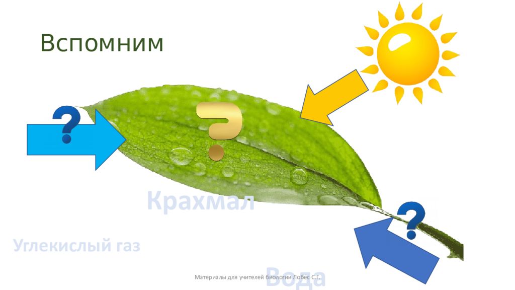 Вспомним
