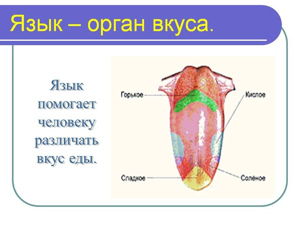 Мир чувств 4 класс презентация школа 21 века