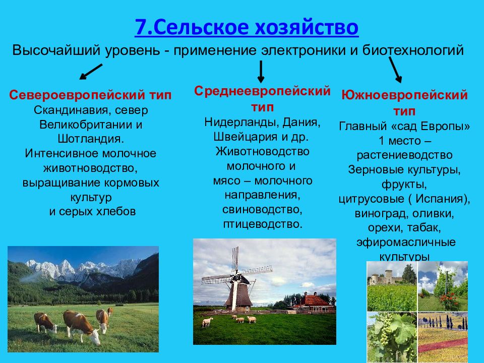 Виды зарубежных стран. Ведущие отрасли сельского хозяйства зарубежной Европы. Характеристика сельского хозяйства Европы. Типы сельского хозяйства зарубежной Европы. Животноводство зарубежной Европы.