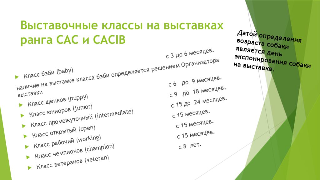 Сколько на выставке классов. Выставочные классы собак РКФ. Классы у собак на выставках по возрасту таблица. Классы собак на выставке по возрасту. Выставочные классы собак по возрастам.