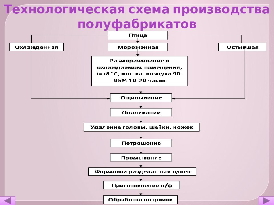 Составьте схему организации производства полуфабрикатов из птицы и субпродуктов