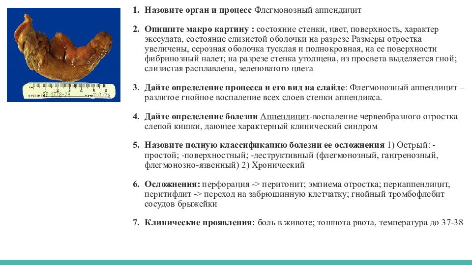 Функции аппендицита. Флегмонозно-язвенный аппендицит макропрепарат. Острый флегмонозный аппендицит макропрепарат. Перфоративный аппендицит макропрепарат. Флегмонозный аппендицит описание макропрепарата.