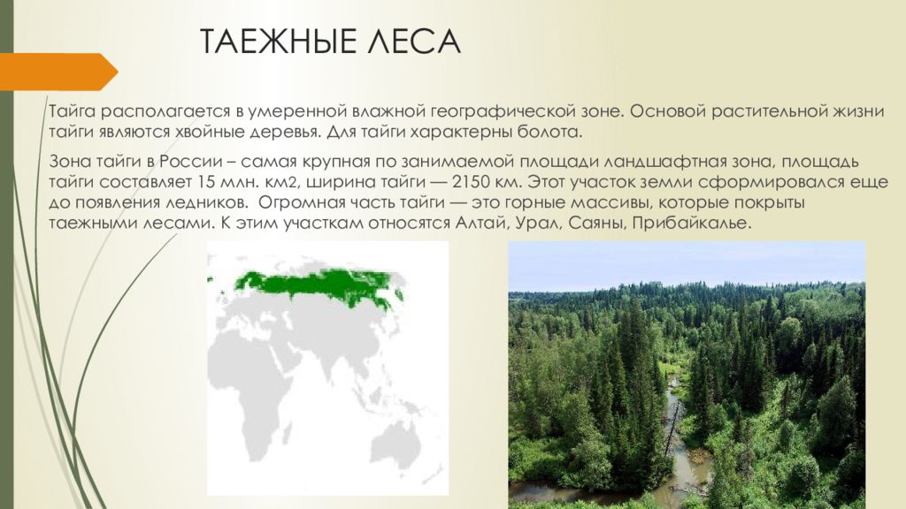 Территория тайги это леса занимающие. Тайга презентация. Презентация Тайга России. Зона тайги в России. Зона тайги презентация.