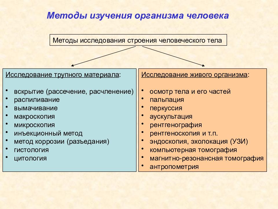 Метод исследования при котором изучают статичное изображение объекта