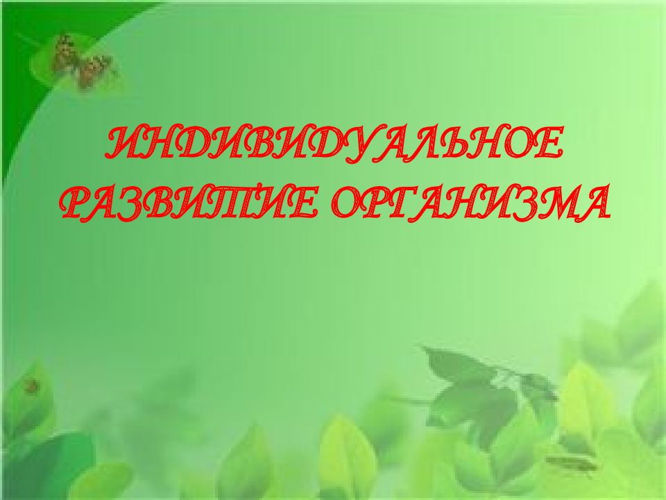 ИНДИВИДУАЛЬНОЕ РАЗВИТИЕ ОРГАНИЗМА