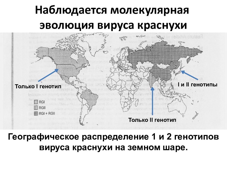 Карта распространения кори в россии