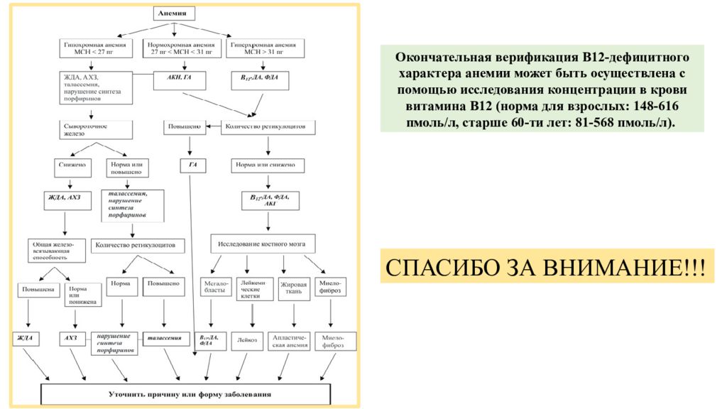 Корнилова анемия схема