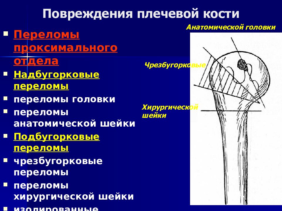 Хирургическая кость. Перелом проксимального метафиза плечевой кости. Хирургическая и анатомическая шейка плечевой кости. Перелом хирургической шейки плечевой кости рентген классификация. Классификация переломов головки плечевой Кост.