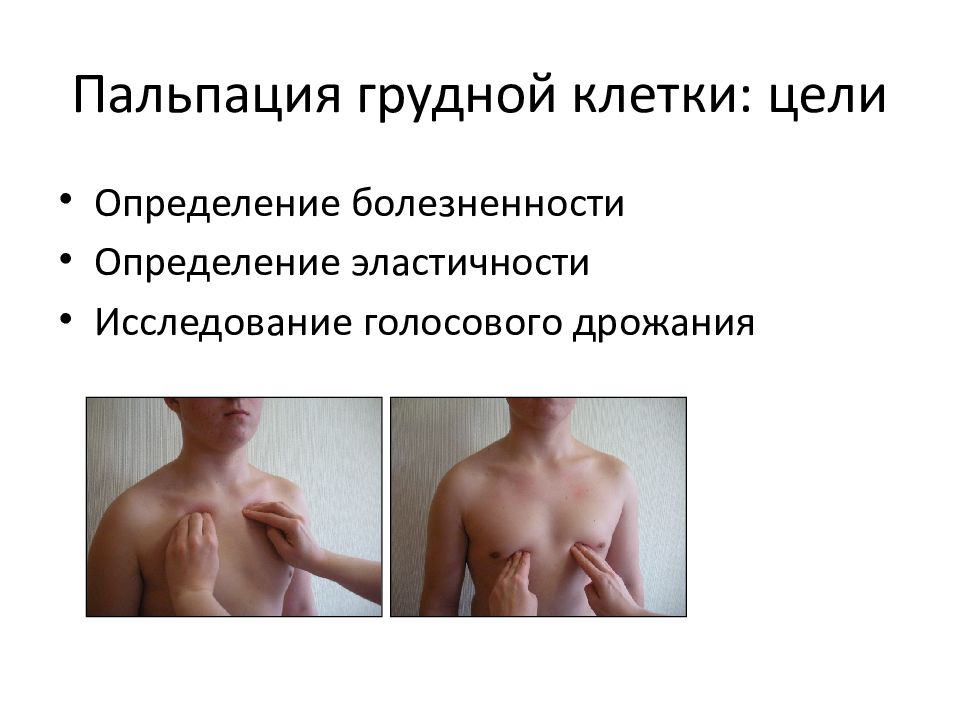 Резистентность грудной. Пальпация грудной клетки пропедевтика алгоритм. Пальпация грудной клетки эластичность. Пальпация грудной клетки болезненность. Пальпация грудной клетки ПВБ.