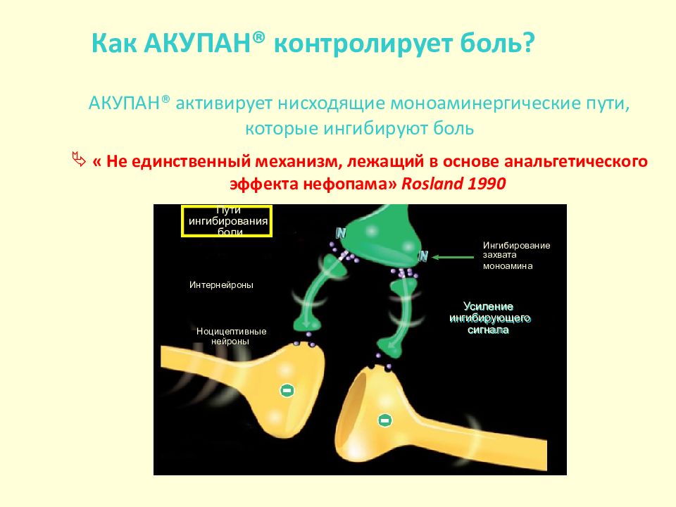 Механизм лежащий в основе. Моноаминергические Нейроны. Моноаминергические пути. Моноаминергический синапс. Ингибирующий сигнал.