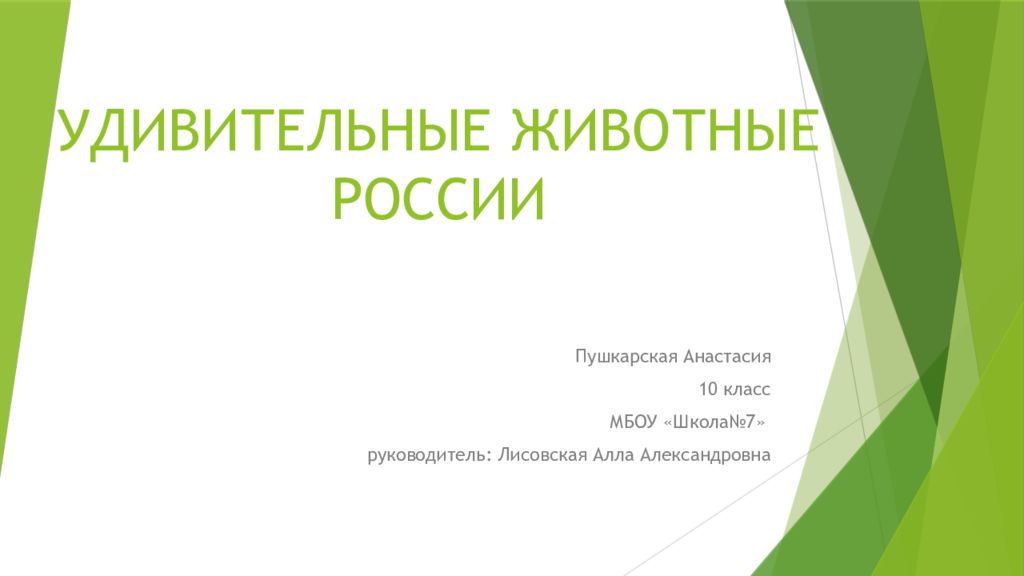 УДИВИТЕЛЬНЫЕ ЖИВОТНЫЕ РОССИИ
