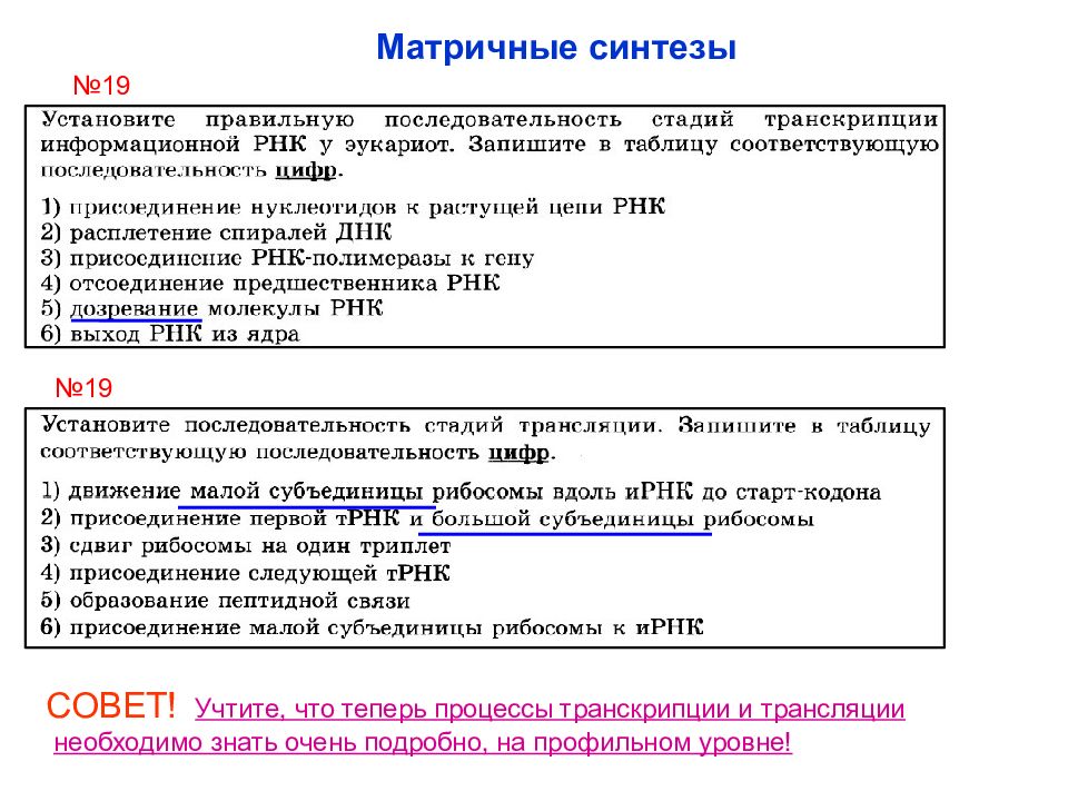 Матричный синтез. Матричный Синтез ЕГЭ. Матричные синтезы таблица. Матричные биосинтезы таблица.