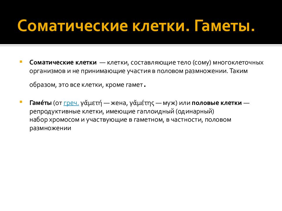 Размер соматической клетки. Соматические клетки. Соматические клетки это в биологии. Соматические клетуиэто. Соматические клетки примеры.