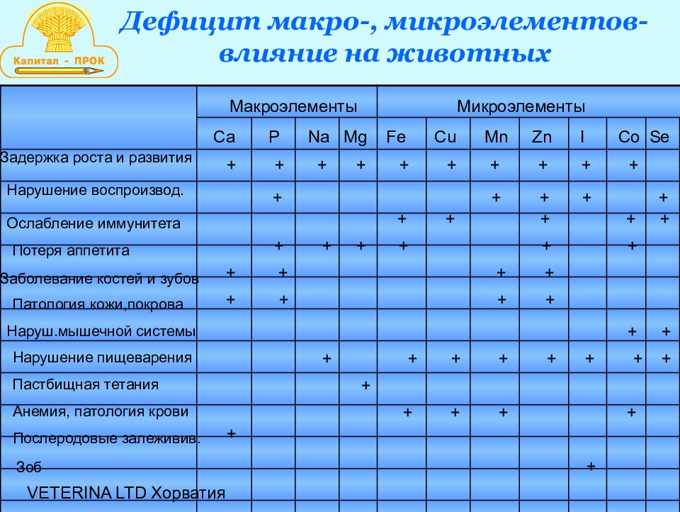 Выращивание молодняка крс презентация