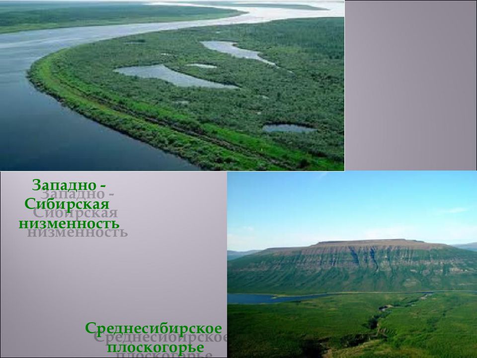 Разнообразие рельефа равнин. Плоскогорья Западно сибирской равнины. Среднесибирское плоскогорье равнина. Что такое Среднесибирское плоскогорье в географии. Западная Сибирь Среднесибирская низменность.