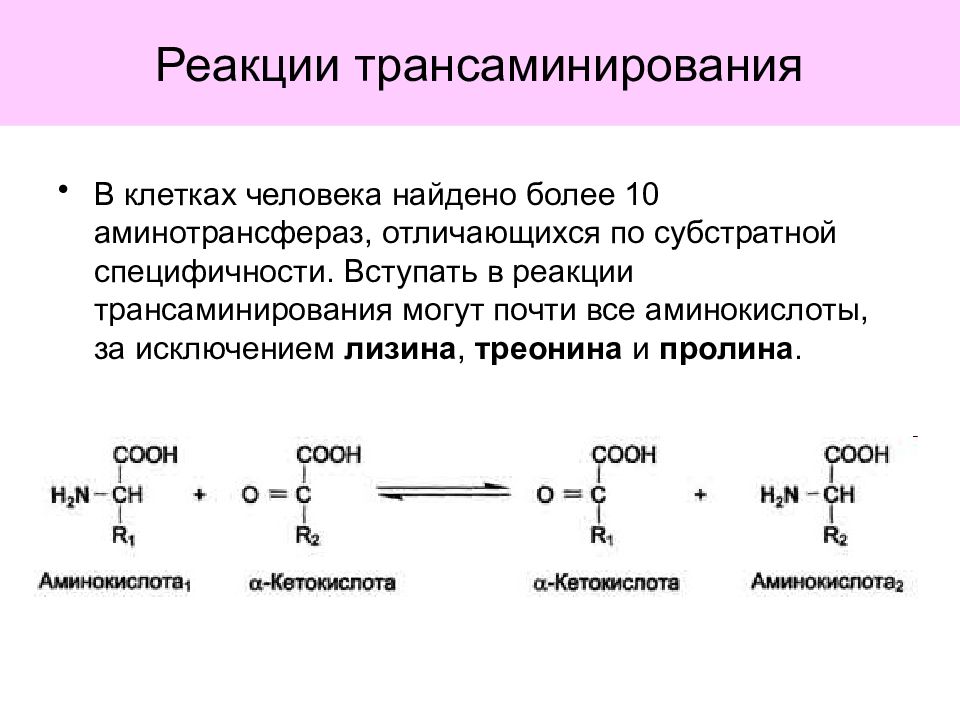 Обмен 20. Валин трансаминирование. Механизм реакции трансаминирования аминокислот. Трансаминирование Альфа аминокислот. Трансаминирование механизм реакции.