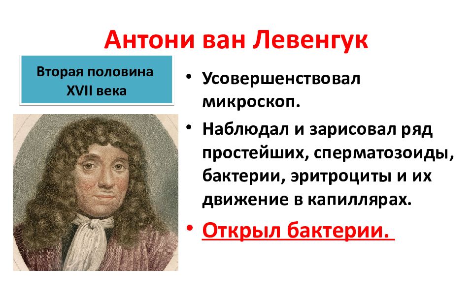 Открытие ван левенгука. Антони Ван Левенгук вторая половина 17 века. Антони Ван Левенгук микроскоп открытия. Антони Ван Левенгук открыл бактерии. Антони Левенгук презентация.