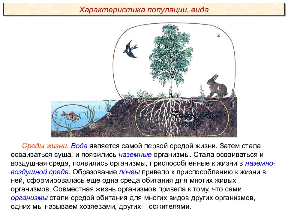 Средой 1 й группы. Среды жизни. Экологическая ниша организмов определяется. Как назывались первые наземные организмы?. Вирусы экологическая ниша.