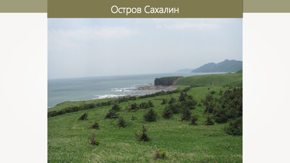 Дальний восток природные условия и ресурсы презентация