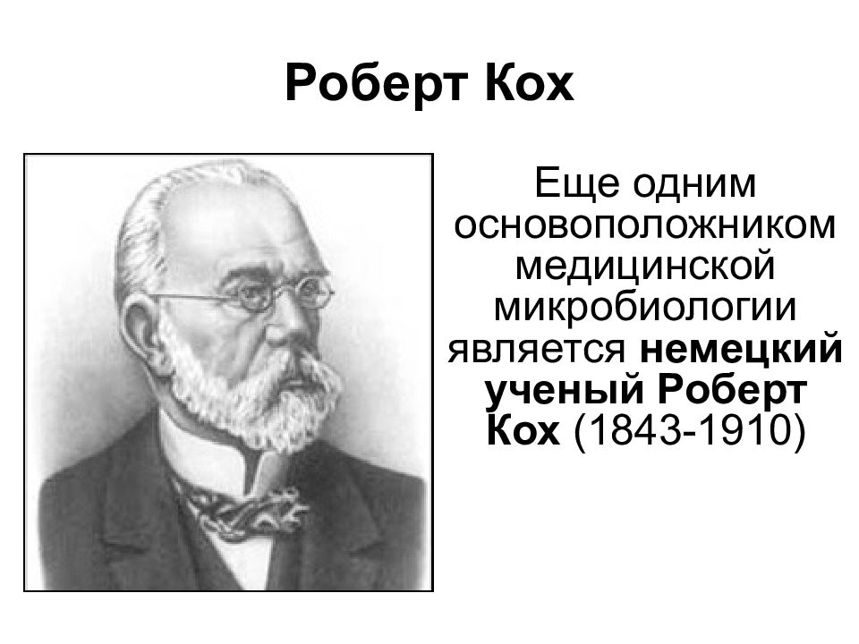 Вклад р. Основоположник микробиологии Кох. Роберт Кох вклад в развитие микробиологии. Роберт Кох развитие микробиологии. Вклад Коха в развитие микробиологии.