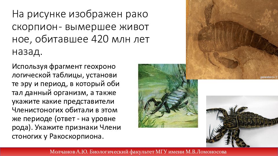 На рисунке изображен тритемнодон вымершее животное обитавшее 50 млн лет назад используя