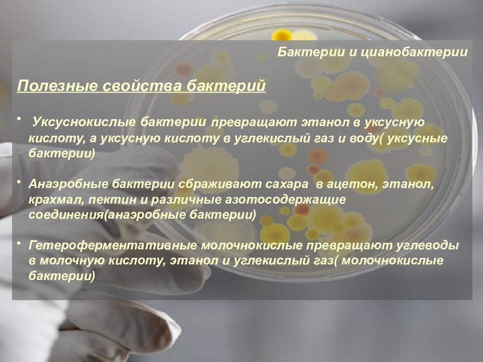 Объекты биотехнологии. Объекты биотехнологии презентация. Предмет биотехнология презентации. Подбор биотехнологических объектов. Объекты биотехнологии таблица.