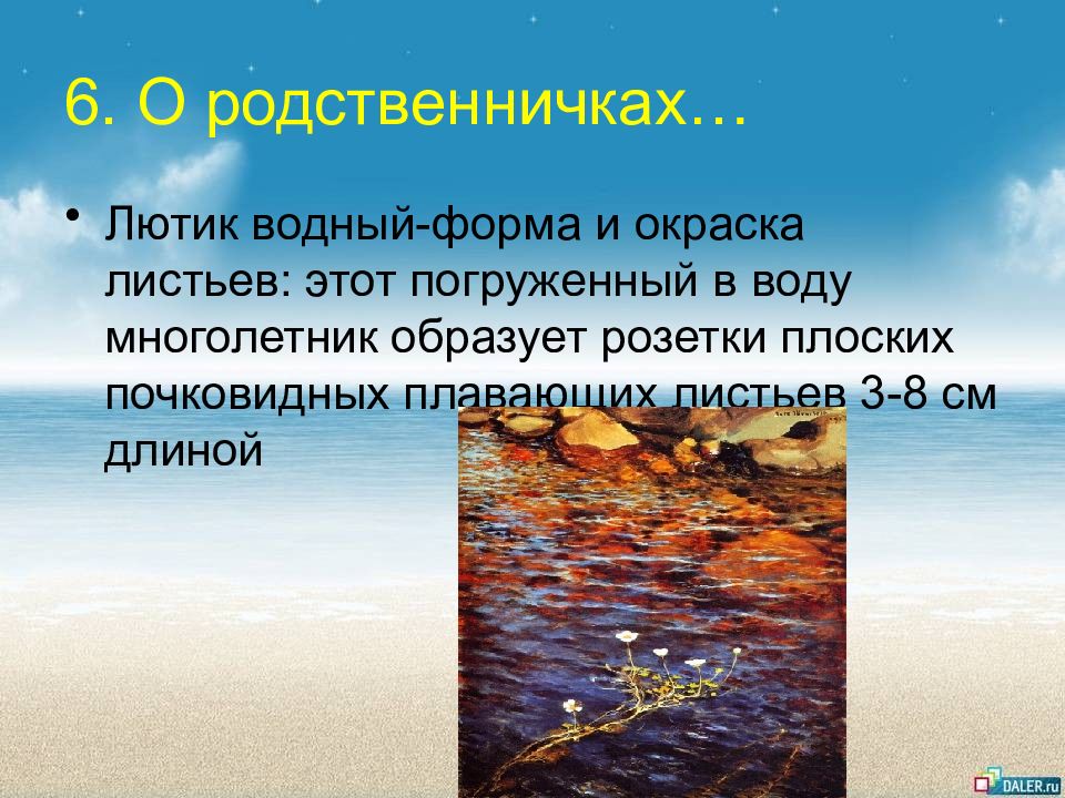 Форма водный