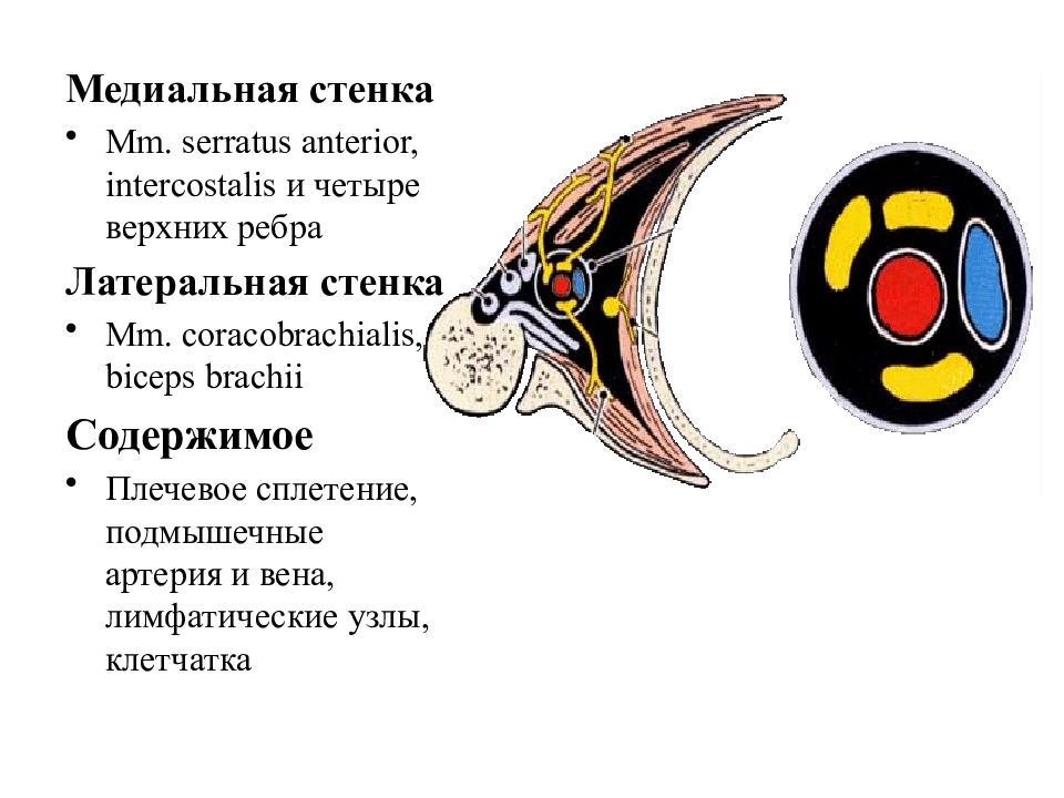 Четыре верхних