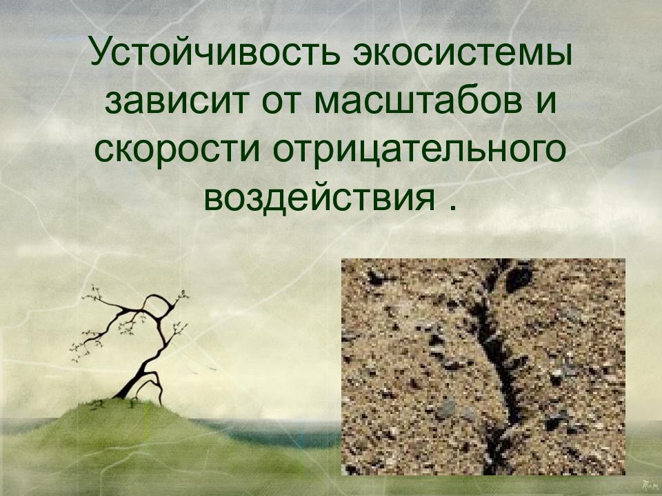 Почему устойчивость природного сообщества зависит от. Устойчивость Агросистемы. Степень устойчивости экосистемы. Устойчивость экосистемы зависит. Устойчивость экологических систем.