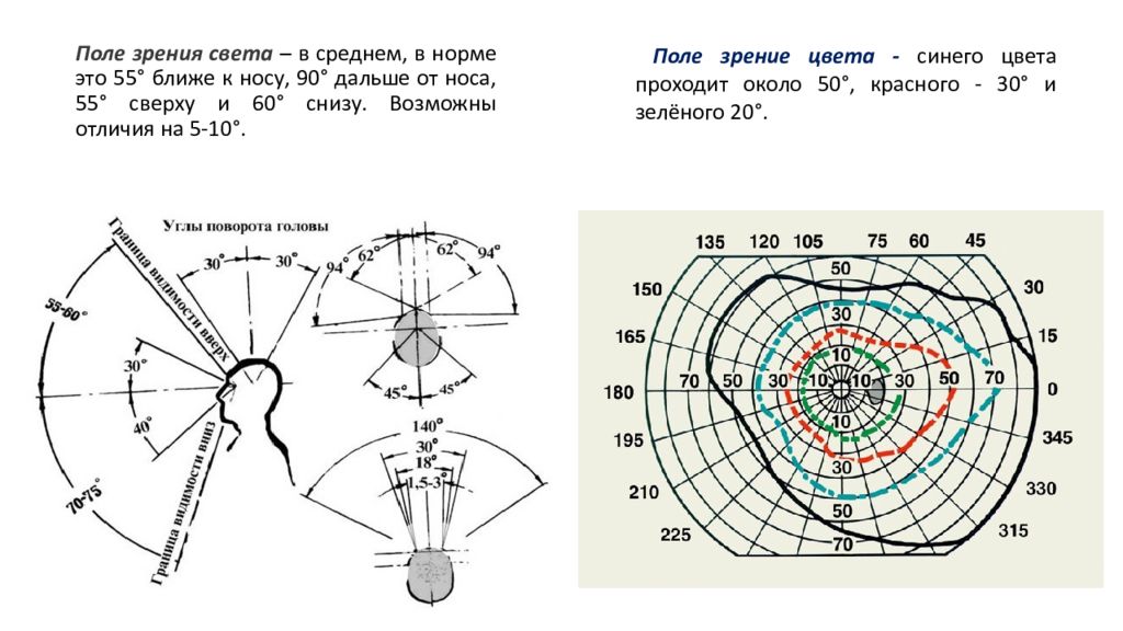 Поле зрения 3. Схема границ поля зрения. Исследование полей зрения норма. Границы поля зрения в норме. Поля зрения в норме схема в норме.