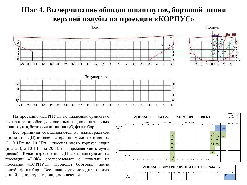 Пример теоретического чертежа