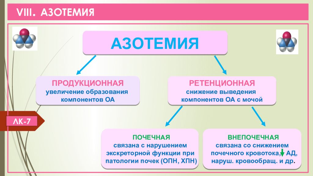 Почечная азотемия. Азотемия. Механизм развития азотемии. Ретенционная и продукционная азотемия. Виды и причины азотемии.