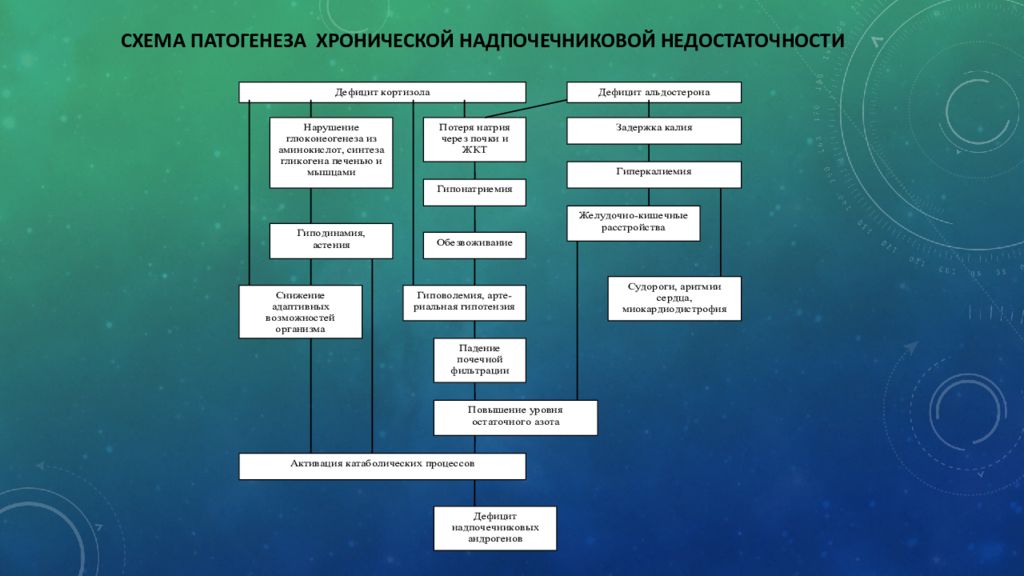 патогенез острой надпочечниковой недостаточности. механизм развития надпочечниковой недостаточности. патогенез острой надпочечниковой недостаточности. вторичная надпочечниковая недостаточность патогенез. хроническая первичная надпочечниковая недостаточность патогенез.