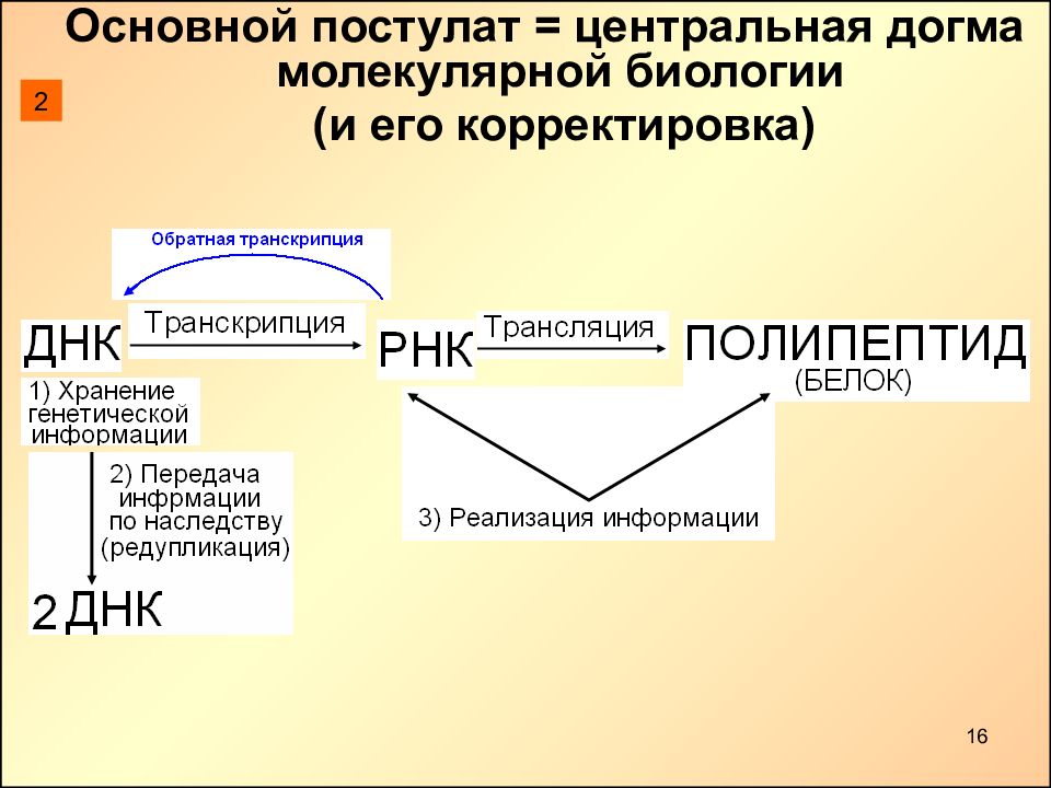 Центральная догма молекулярной биологии. Основной постулат (