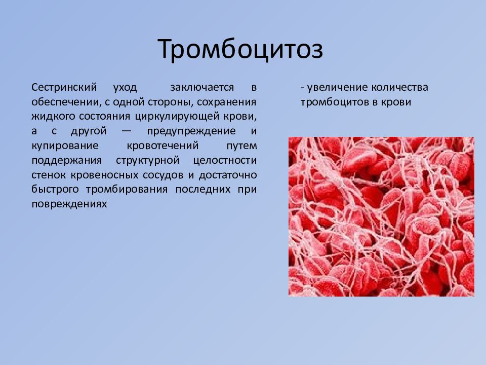 Заболевания органов кроветворения у детей презентация