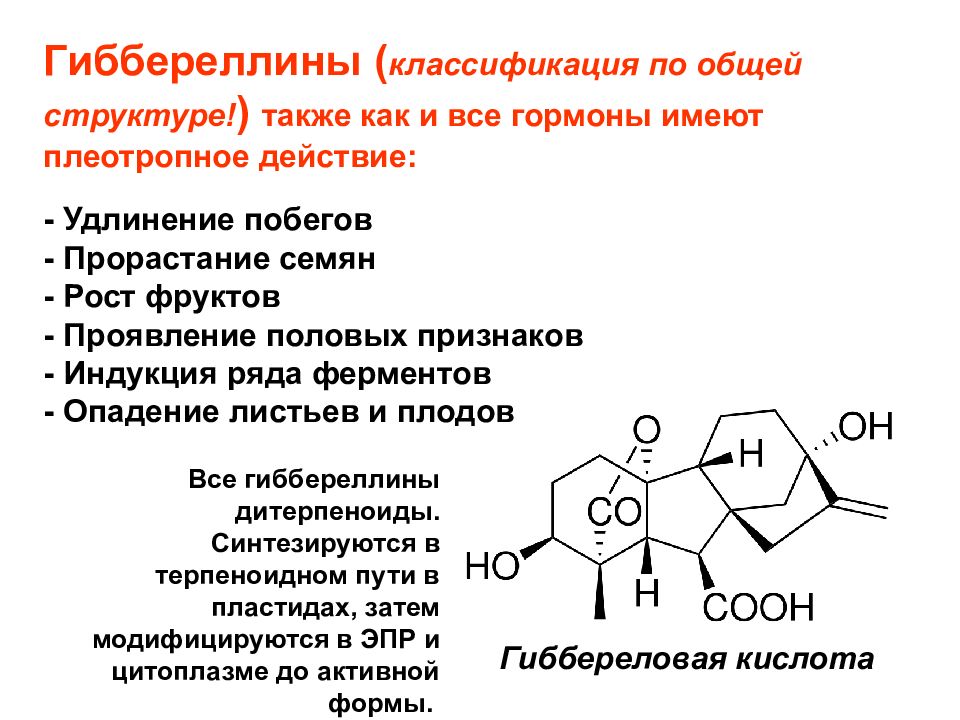 Презентация гормоны растений